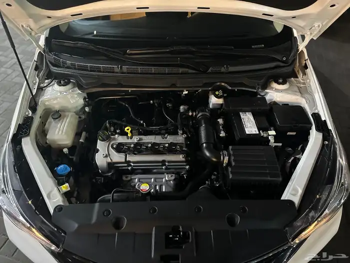 شانجان 2025 بلد 17