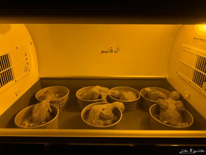 فروخ كاسكو 0