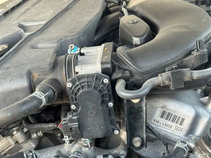 ربع وارد الوليد 2016 14