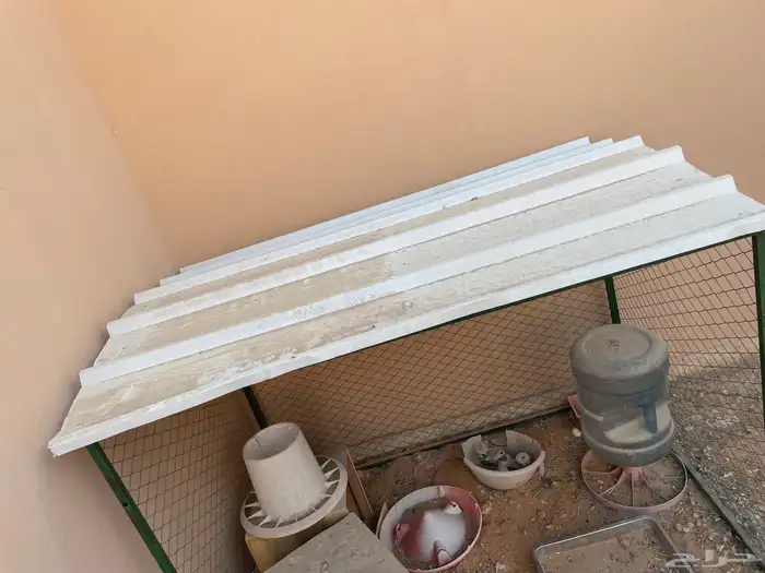 شبك حمام أو دجاج 1