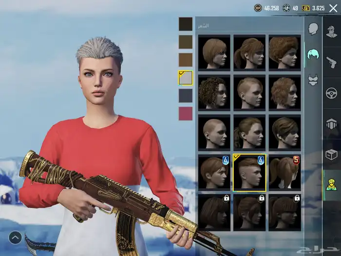 حساب ببجي 10