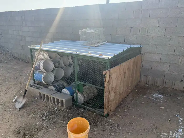 للبيع حمام معا شبك 1