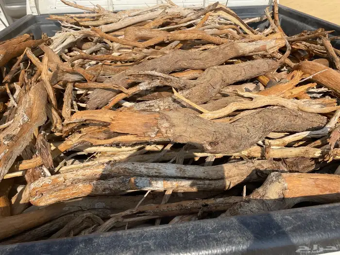 حطب أرطى وغضى 1