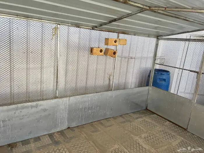 مطير او شبك غنم 0