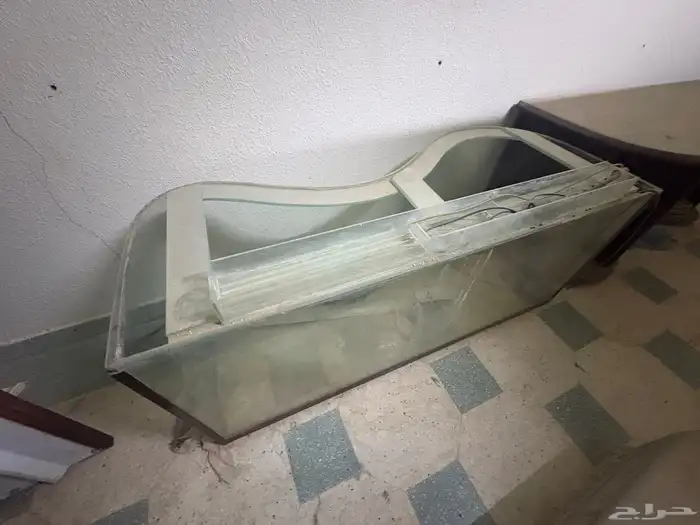 حوض السمك مع الأكل مع كل شيء 2