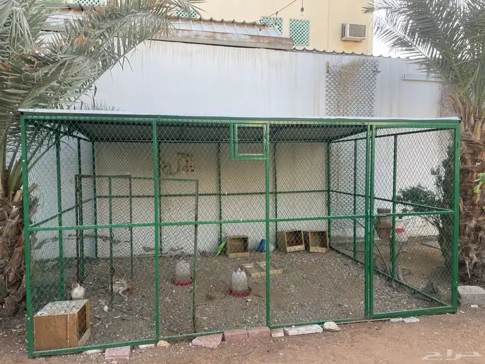شبك دجاج بط حمام ارانب 0