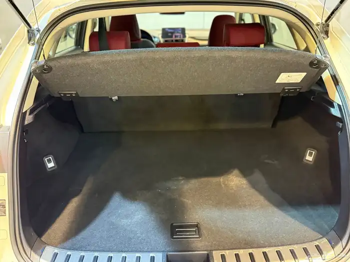 لكزس NX2020 (( بحالة ممتازة )) 28