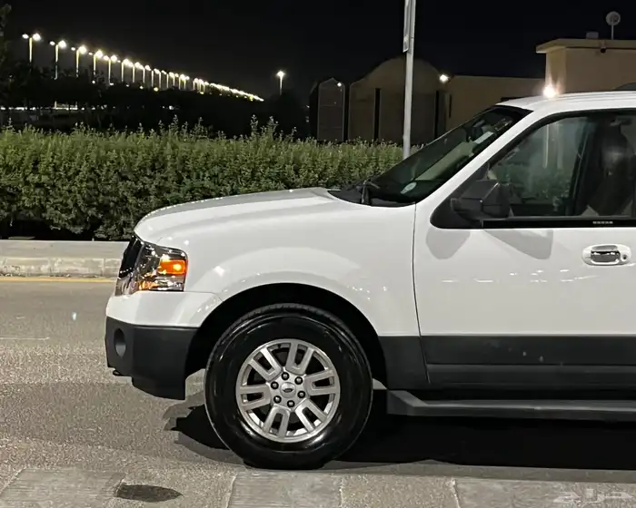 فورد اكسبيدشن - 2013 1