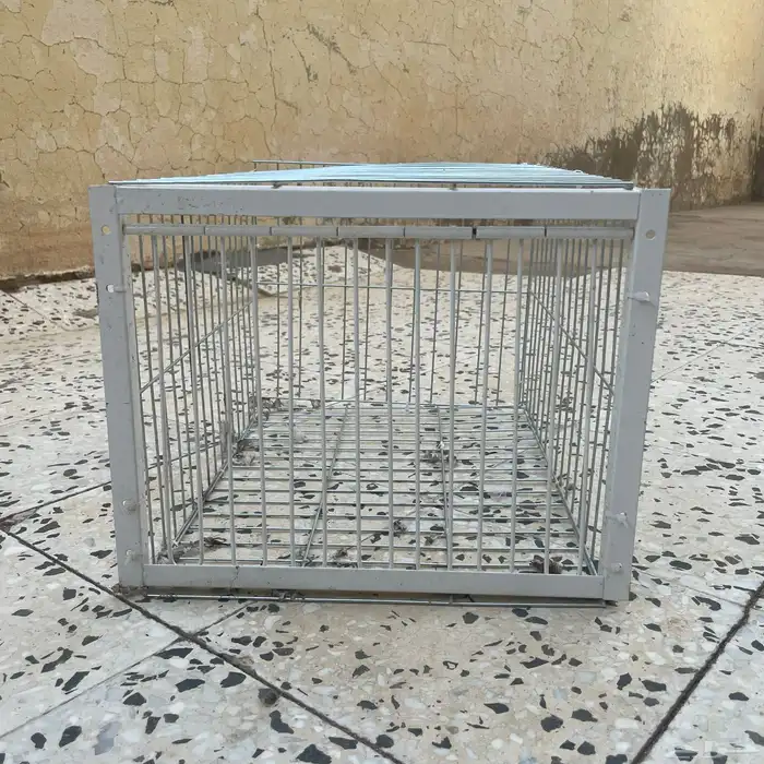 مصيدة حمام 3