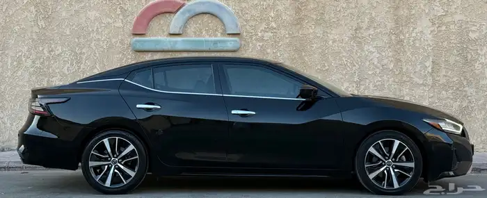 مكسيما 2023 11