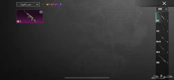 حساب ببجي 20