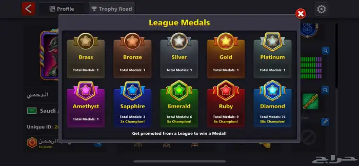 حساب بلياردو الشخصي الأقوى لفل 618 إطار 100 فلل اوبشن 6