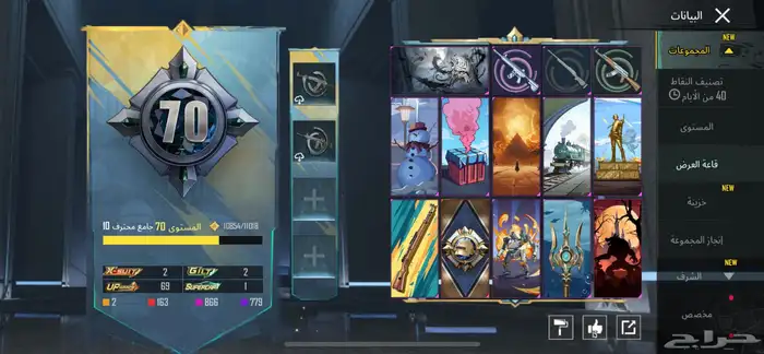 حساب ببجي فخم 17