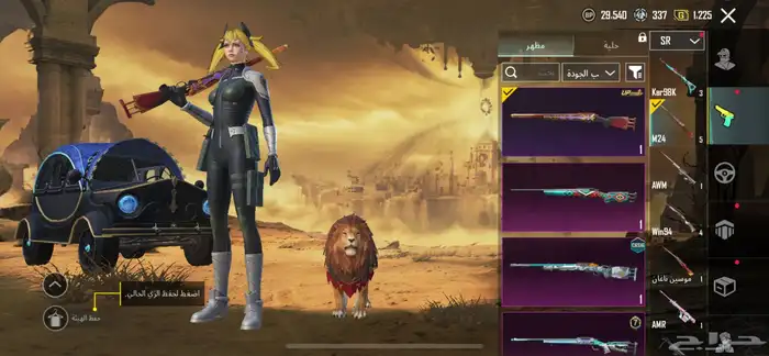 حساب ببجى 17