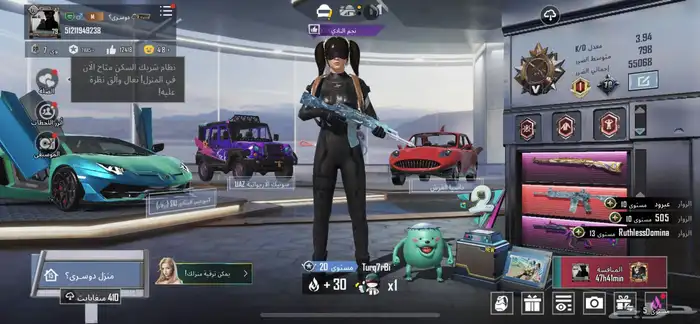 حساب ببجي فخم 13