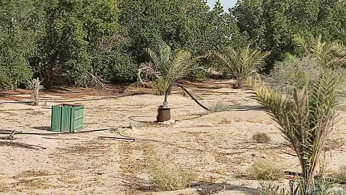 مزرعه بمليجه جنوب النعيرية 20 ك صك الكتروني 1