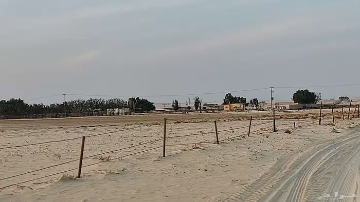 مزرعه غرب مليجه مساحه 90 الف 5