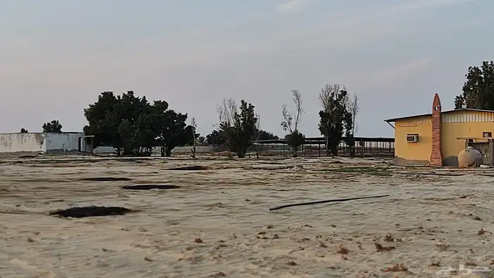 مزرعه غرب مليجه مساحه 90 الف 10