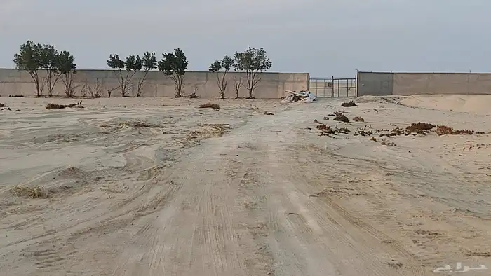 مزرعه غرب مليجه مساحه 90 الف 7