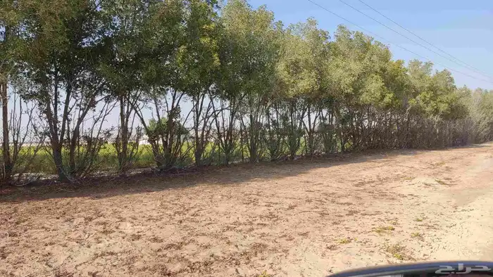 مزرعه غرب مليجه مساحه 90 الف 2