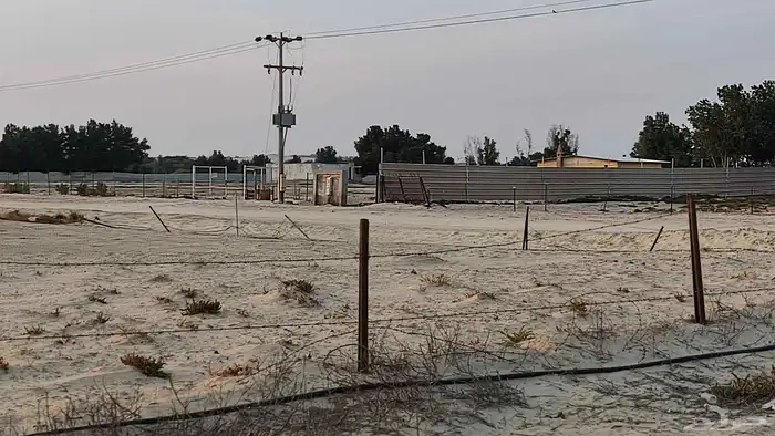 مزرعه غرب مليجه مساحه 90 الف 6