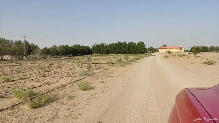 مزرعه بمليجه جنوب النعيرية 20 ك صك الكتروني 9