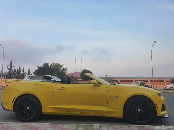 كومار 2017 كشف لون مميز 9