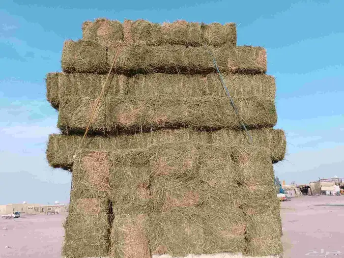 برسيم مستودع طيب للبيع مع خدمات توصيل 1