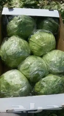 فرصة استثمار واعدة للجادين 5