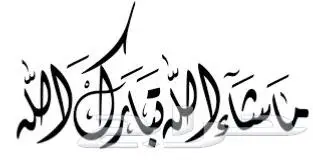 BMW 2024 320i بي ام دبليو ناغي على الضمان والصيانة 4