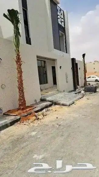 النخل الواشنطني الزينه 8