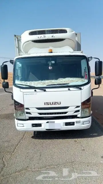 دينا ايسوزو 2023 1