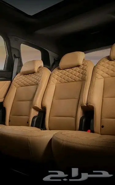 جيلي اوكافانجو 2025 14