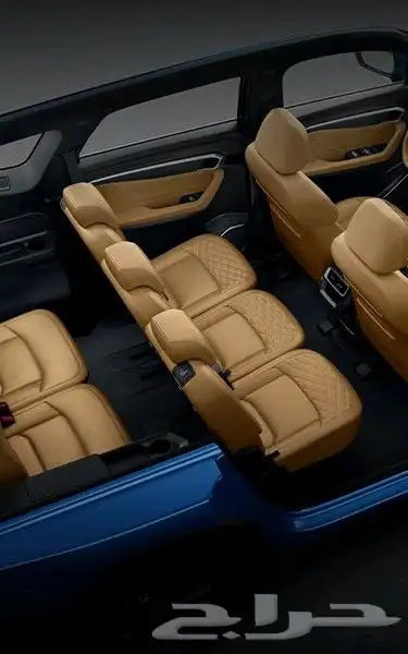 جيلي اوكافانجو 2025 13