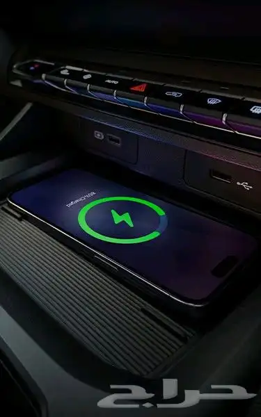 جيلي اوكافانجو 2025 15