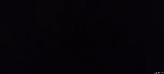 مطلوب شبوط او بكه يقبل بدل جوز حمام باكستاني او جوالات تراث 0