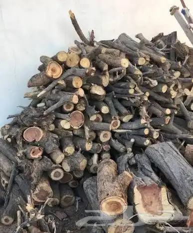 حطب طلح للبيع اربع قلابات او ثلاث قلابات حموله كبيره 0