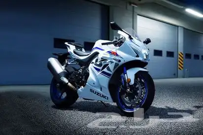 مطلوب دباب ريس 0