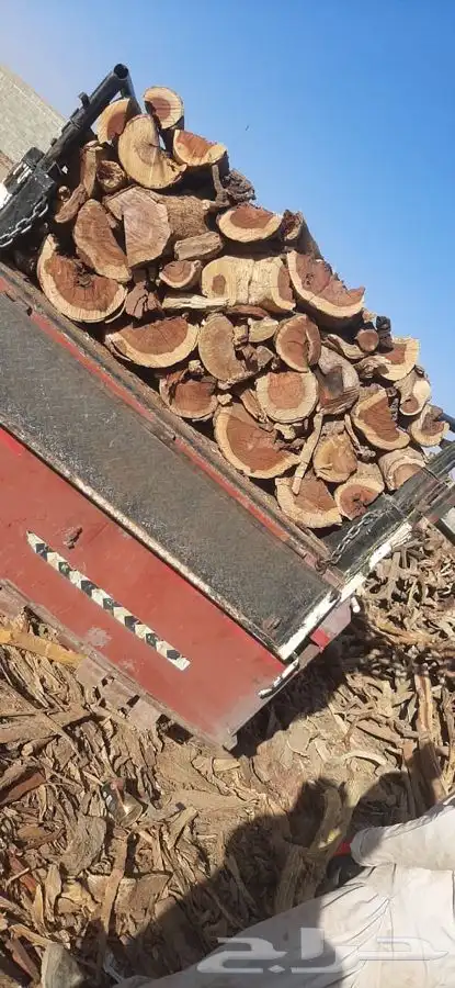 مستورد دراجة أولى 0