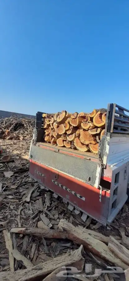 مستورد دراجة أولى 5