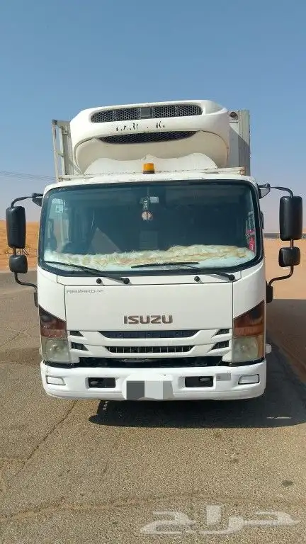 دينا ايسوزو 2023 2