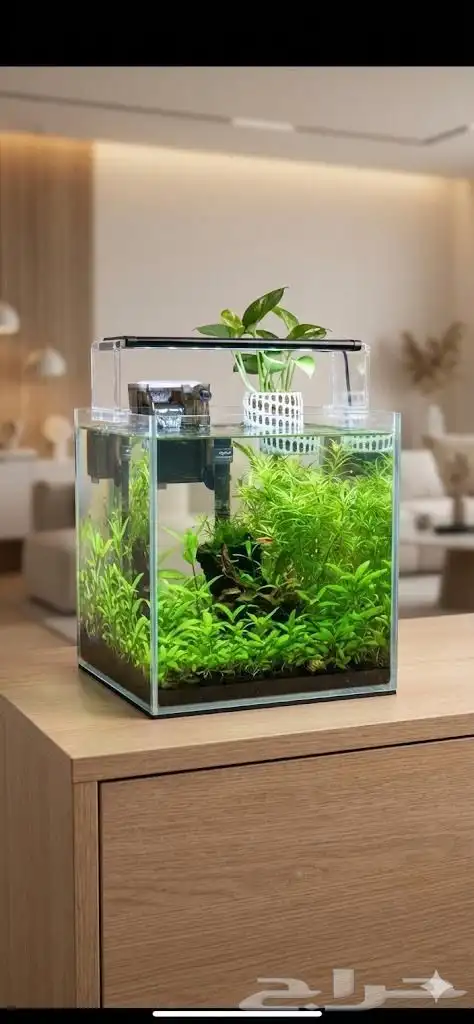 حوض اسماك للبيع 0