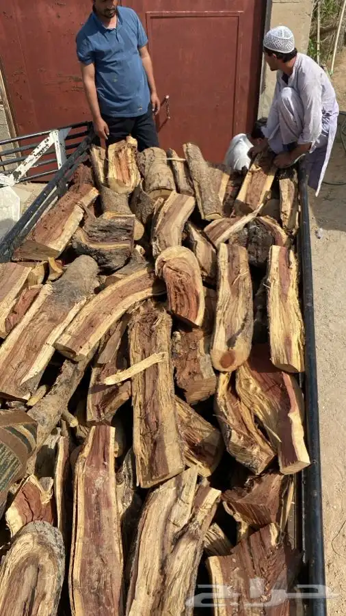 مستورد دراجة أولى 2