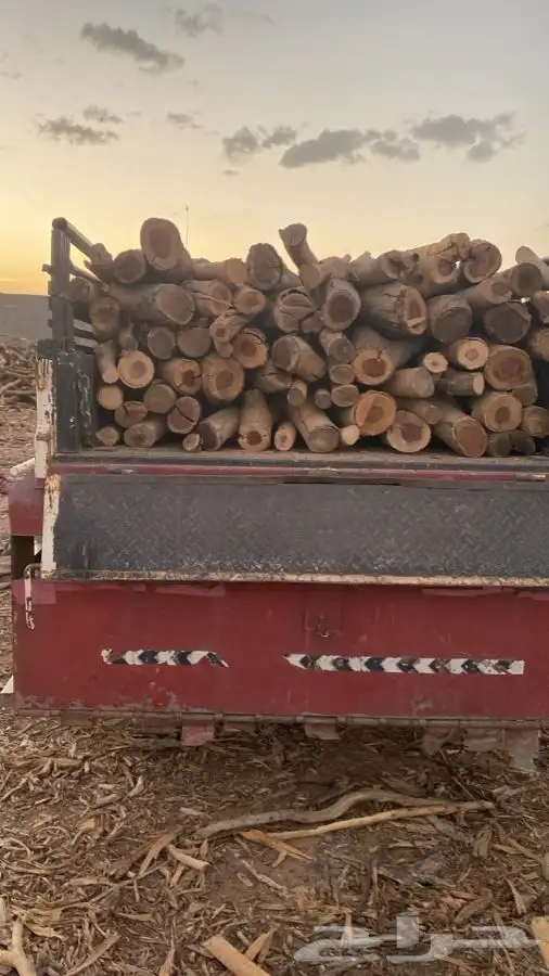 مستورد دراجة أولى 4