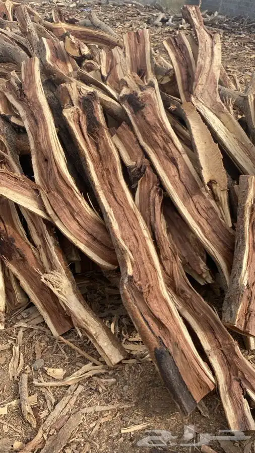 مستورد دراجة أولى 1