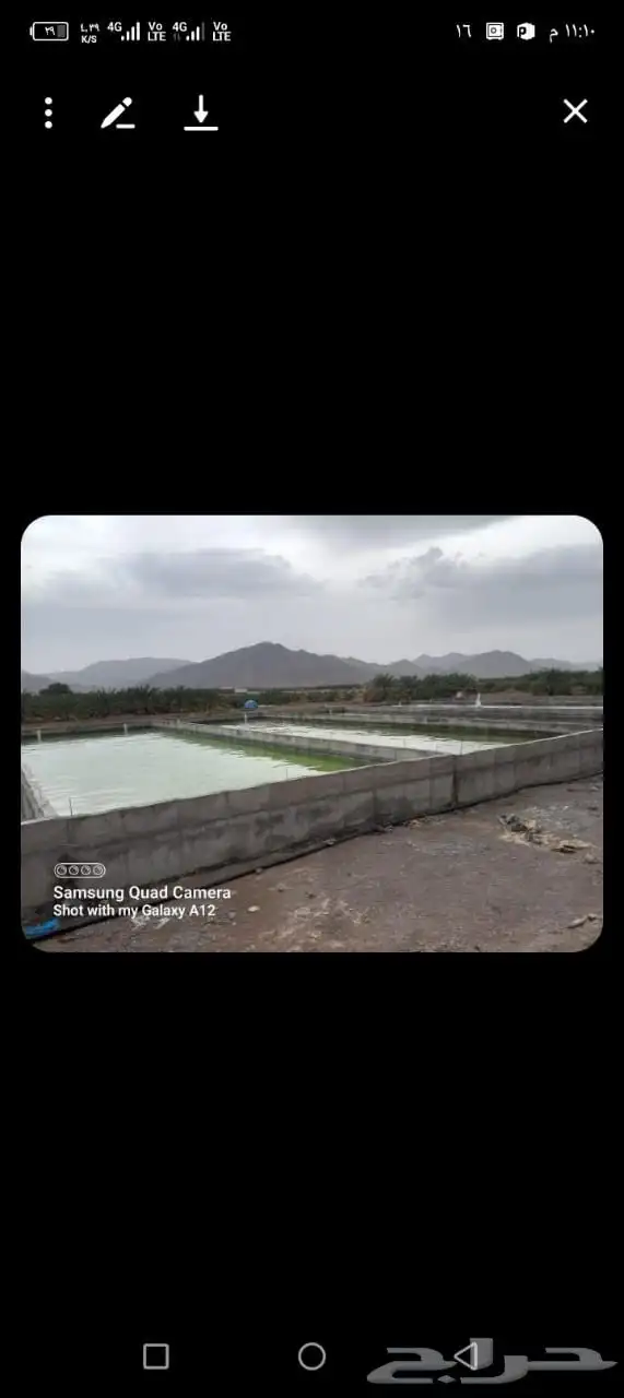 خزانات ديري مزرعه خزانات سمك خزانات مسبخ مياء 5