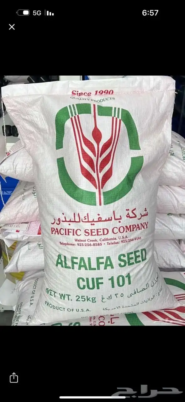 بذور أمريكي 0