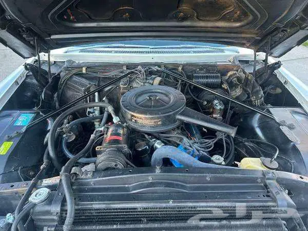 للبيع كاديلاك كل شي وكاله موديل 1966 Cadillac 10