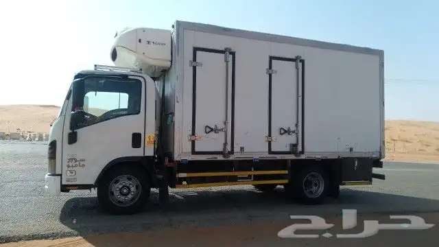 دينا ايسوزو 2023 3