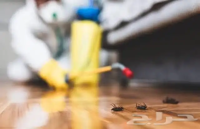 أدوات رش مكافحة الصراصير والبق بالمدينة المنورة 1